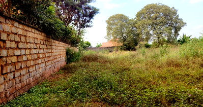 0.29 Acre Plot with Garden in Ruiru