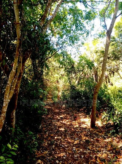 For Sale 8 Acres Creek and 4 BRMS Villa. - Image 5