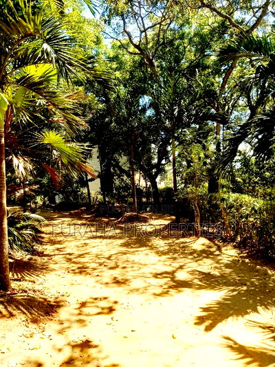 For Sale 8 Acres Creek and 4 BRMS Villa. - Image 6