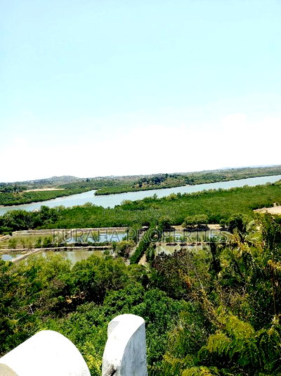 For Sale 8 Acres Creek and 4 BRMS Villa. - Image 4