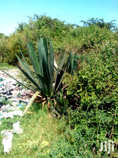 Selling 5 Acres At Thika Kiganjo,Kanguki - Image 1