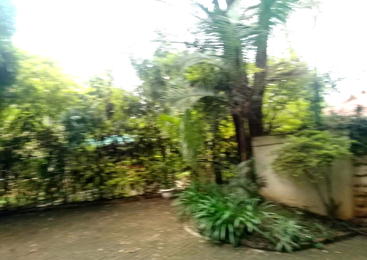Quarter Acre Garden Home
