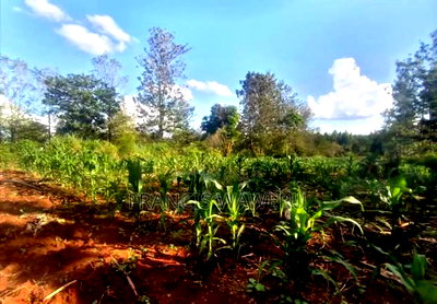 One and a Quarter Acre,Touching Maragua-Murang'a Highway. - Image 4