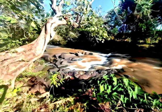 One and a Quarter Acre,Touching Maragua-Murang'a Highway.