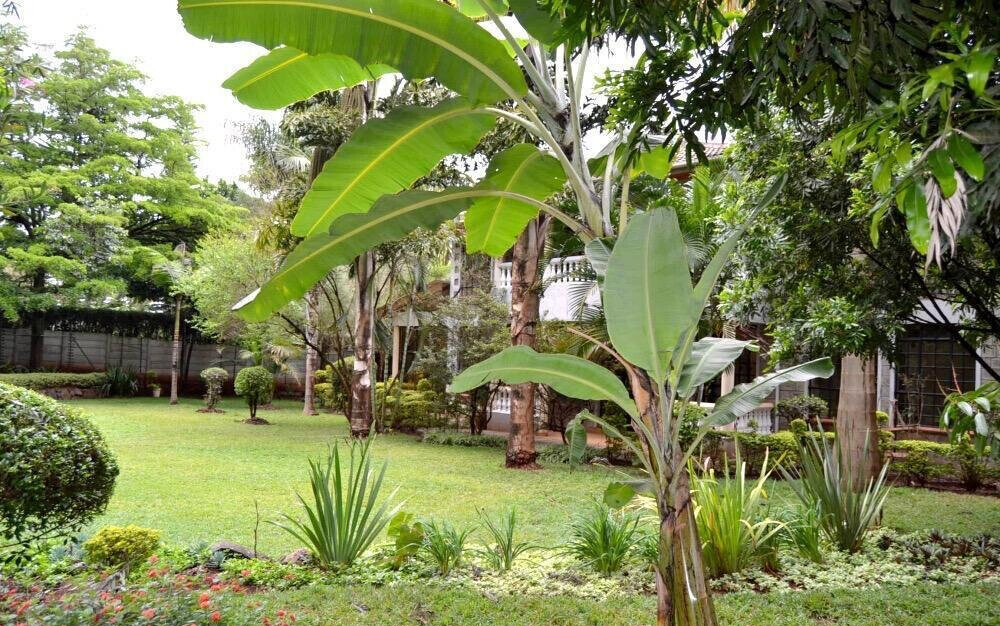 0.15 Acre Runda Haven at KSh 400K