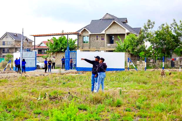 Ready to Build Plots in Katani Ww^