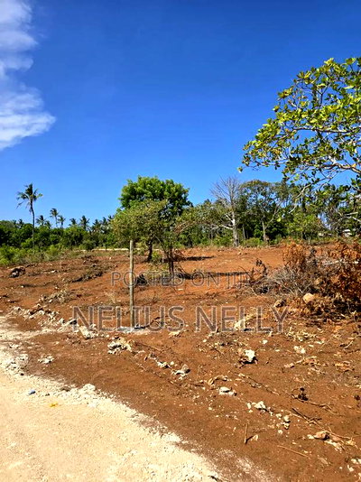 100*100 [1/4 Acres] Plots for Sale Kilifi Tezo - Image 4