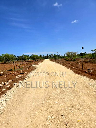 100*100 [1/4 Acres] Plots for Sale Kilifi Tezo - Image 3