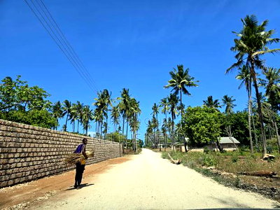 100*100 [1/4 Acres] Plots for Sale Kilifi Tezo - Image 1