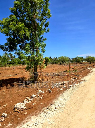 100*100 [1/4 Acres] Plots for Sale Kilifi Tezo - Image 5