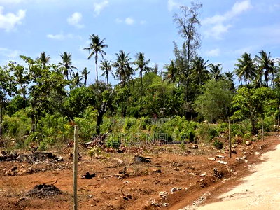 100*100 [1/4 Acres] Plots for Sale Kilifi Tezo - Image 2