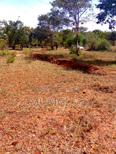 50*100 Plots for Sale in Matuu/Machakos - Image 2