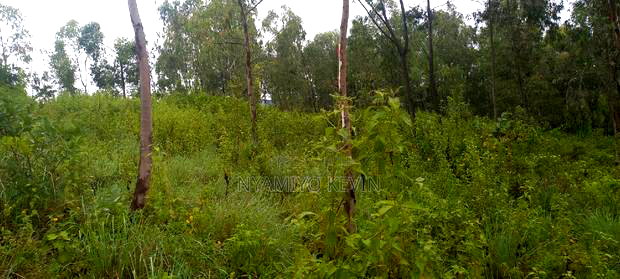 Gem Komuok 17 Acres