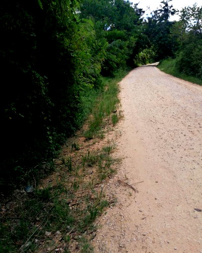 2.5 Acres in Kaloleni for KSh 18M