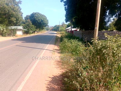 For Sale: Half an Acre Along Mvindeni Road - Image 8