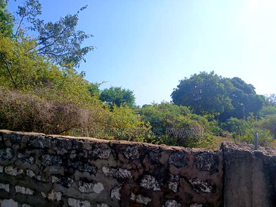 For Sale: Half an Acre Along Mvindeni Road - Image 4