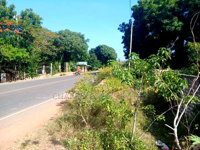 For Sale: Half an Acre Along Mvindeni Road - Image 11