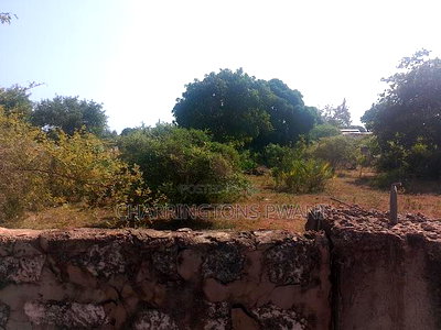 For Sale: Half an Acre Along Mvindeni Road - Image 3