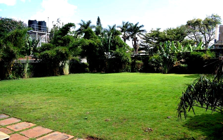 50x100 Plot 4BR Haven for KSh 500K