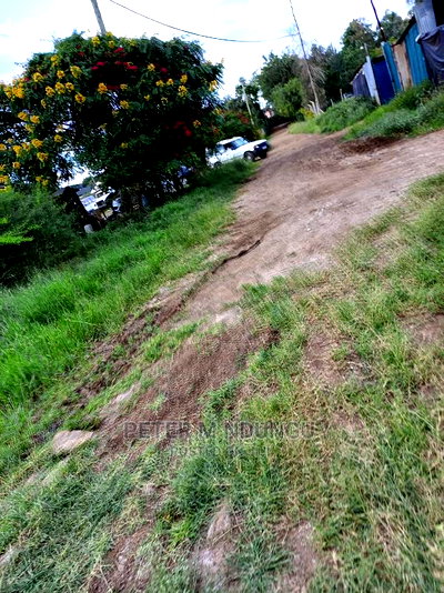 Prime 5.5 Acres , Garden Estate on Sale - Image 5