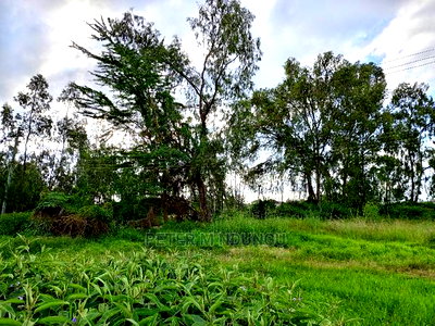 Prime 5.5 Acres , Garden Estate on Sale - Image 6