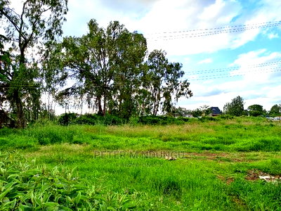 Prime 5.5 Acres , Garden Estate on Sale - Image 2