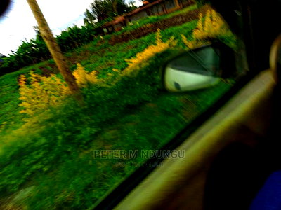 Prime 5.5 Acres , Garden Estate on Sale - Image 4