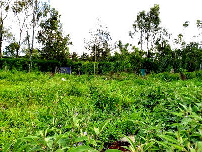 Prime 5.5 Acres , Garden Estate on Sale - Image 1