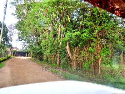 Prime 5.5 Acres , Garden Estate on Sale - Image 3