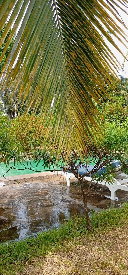 Garden Home with Parking for KSh 175K