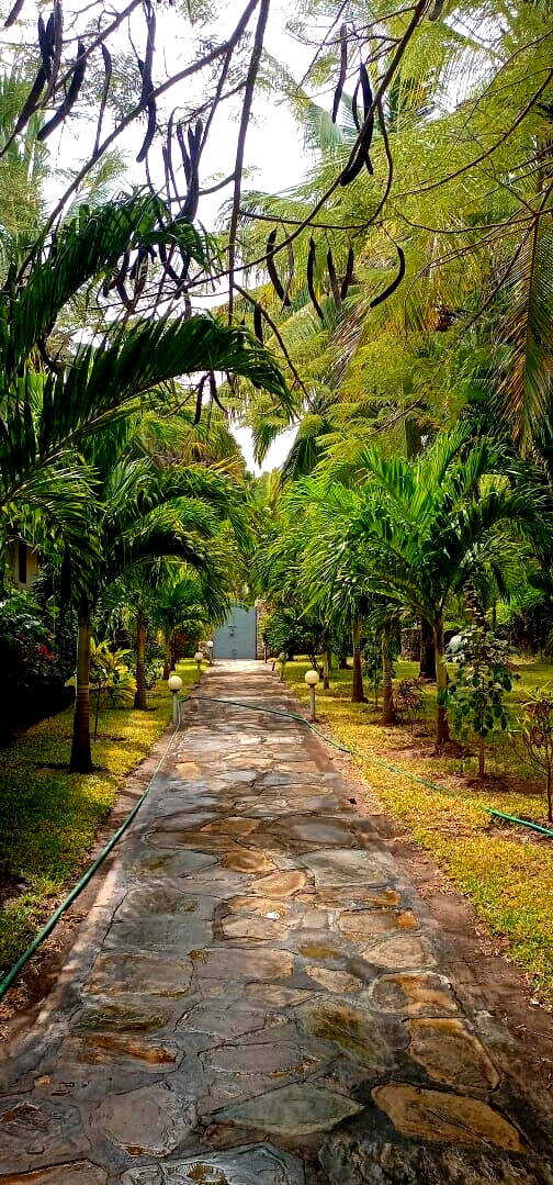 Garden Home with Parking for KSh 175K
