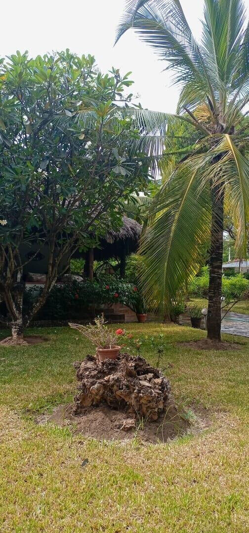 Garden Home with Parking for KSh 175K
