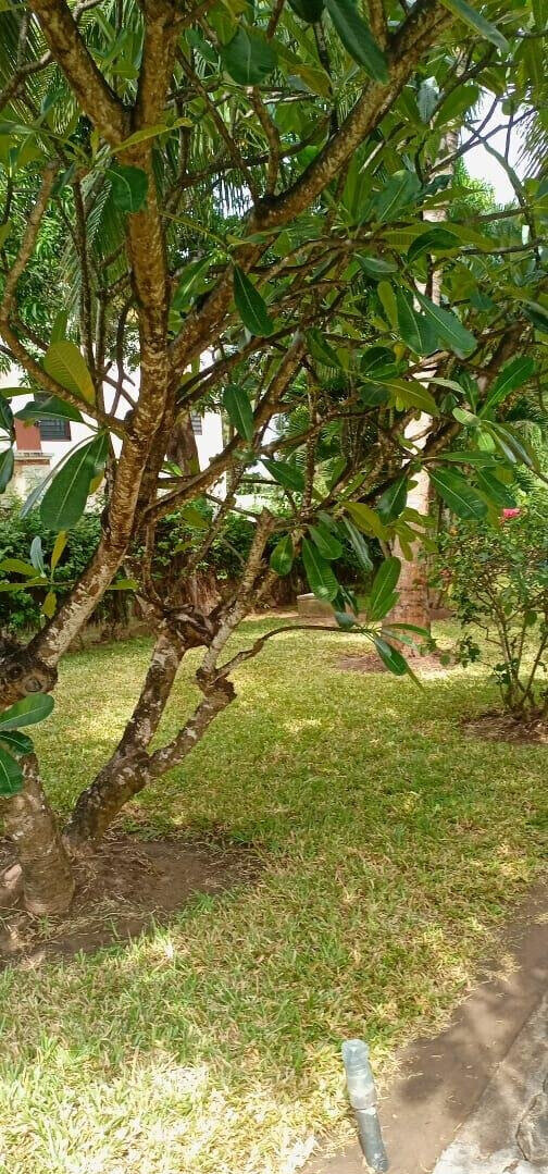 Garden Home with Parking for KSh 175K