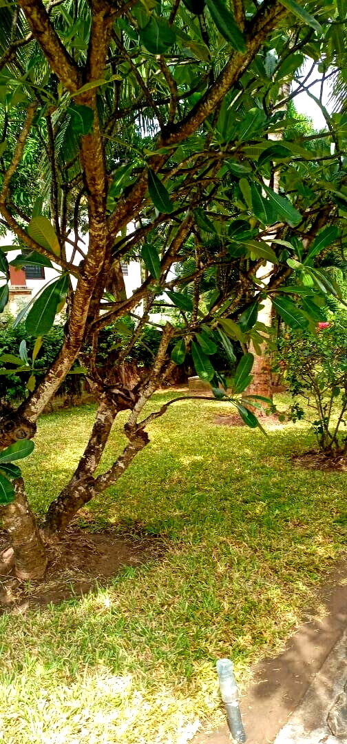 Garden Home with Parking for KSh 175K
