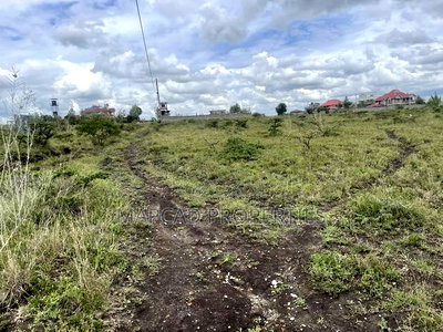 Quick Sale 1/4 Acre - Image 2