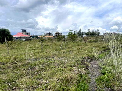 Quick Sale 1/4 Acre - Image 1