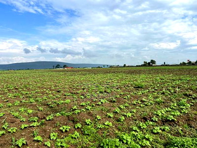 Nakuru Greensteds 1acres Blocks - Image 11