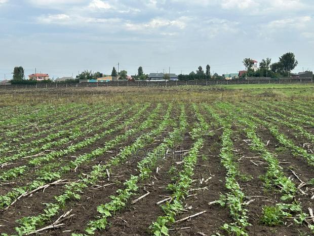 Nakuru Greensteds 1acres Blocks