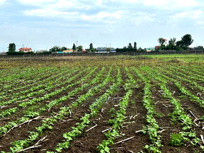 Nakuru Greensteds 1acres Blocks - Image 10