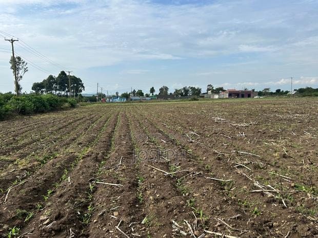 Nakuru Greensteds 1acres Blocks