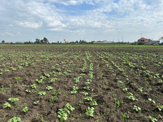 Nakuru Greensteds 1acres Blocks