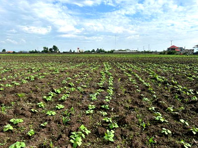 Nakuru Greensteds 1acres Blocks - Image 12