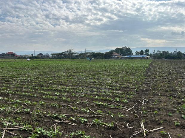 Nakuru Greensteds 1acres Blocks