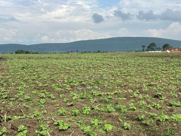 Nakuru Greensteds 1acres Blocks
