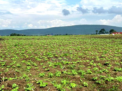 Nakuru Greensteds 1acres Blocks - Image 8