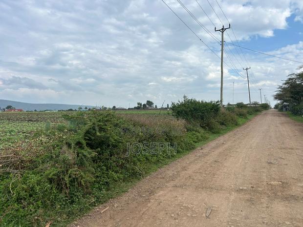 Nakuru Greensteds 1acres Blocks