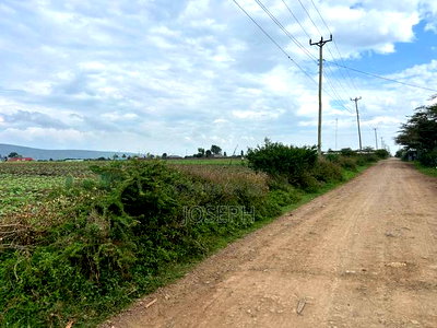 Nakuru Greensteds 1acres Blocks - Image 3