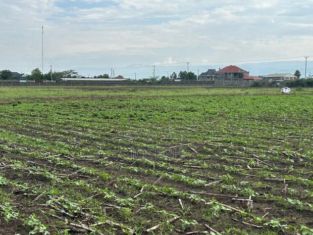 Nakuru Greensteds 1acres Blocks