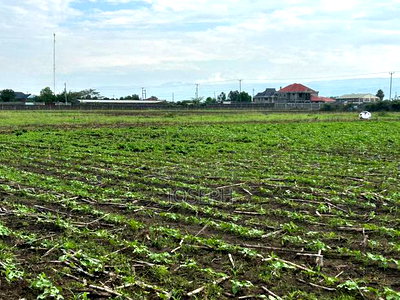 Nakuru Greensteds 1acres Blocks - Image 15