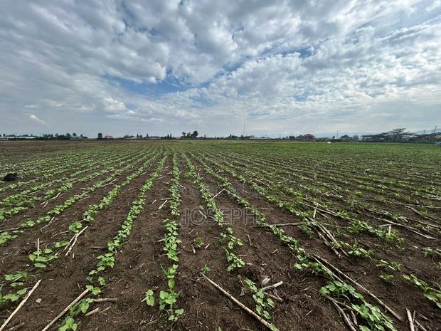 Nakuru Greensteds 1acres Blocks